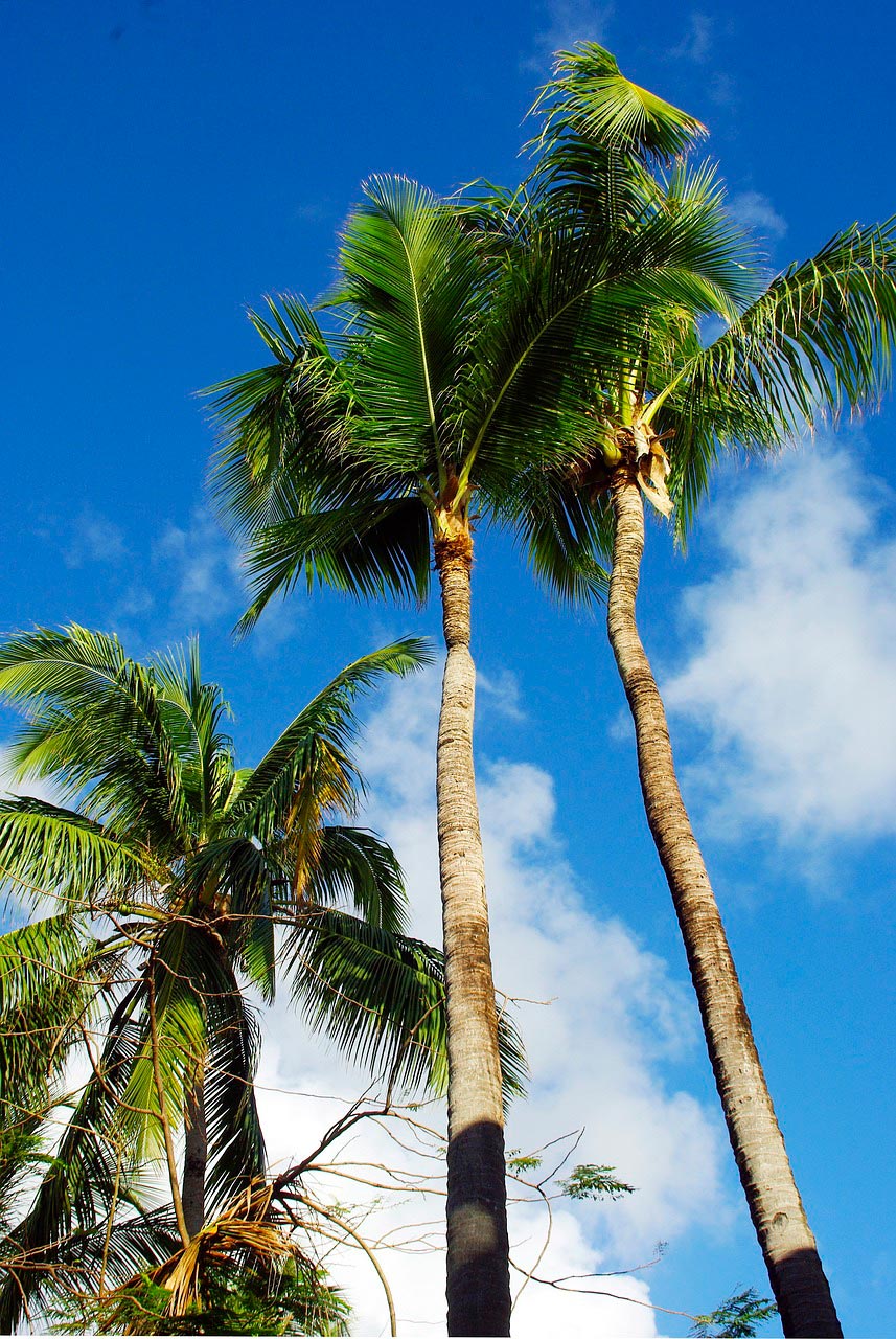 República Dominicana