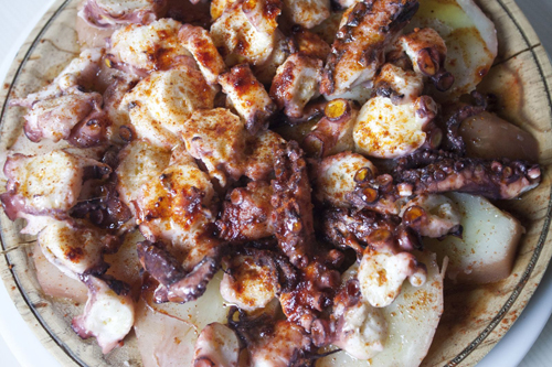 Pulpo