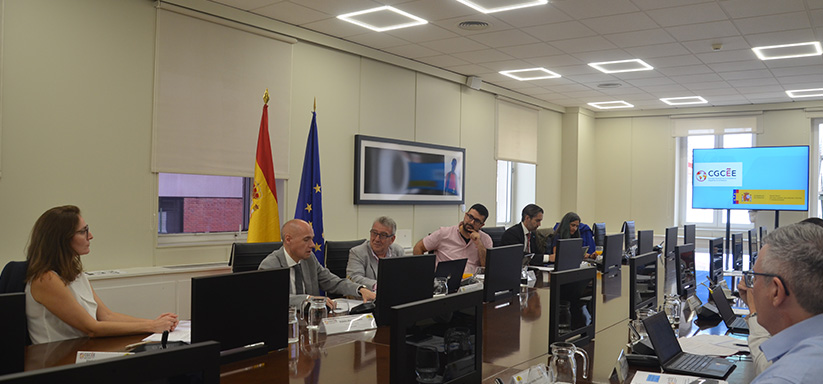 La Comisión de Educación, Cultura y Deporte durante la intervención del Secretario General de Unicersidades